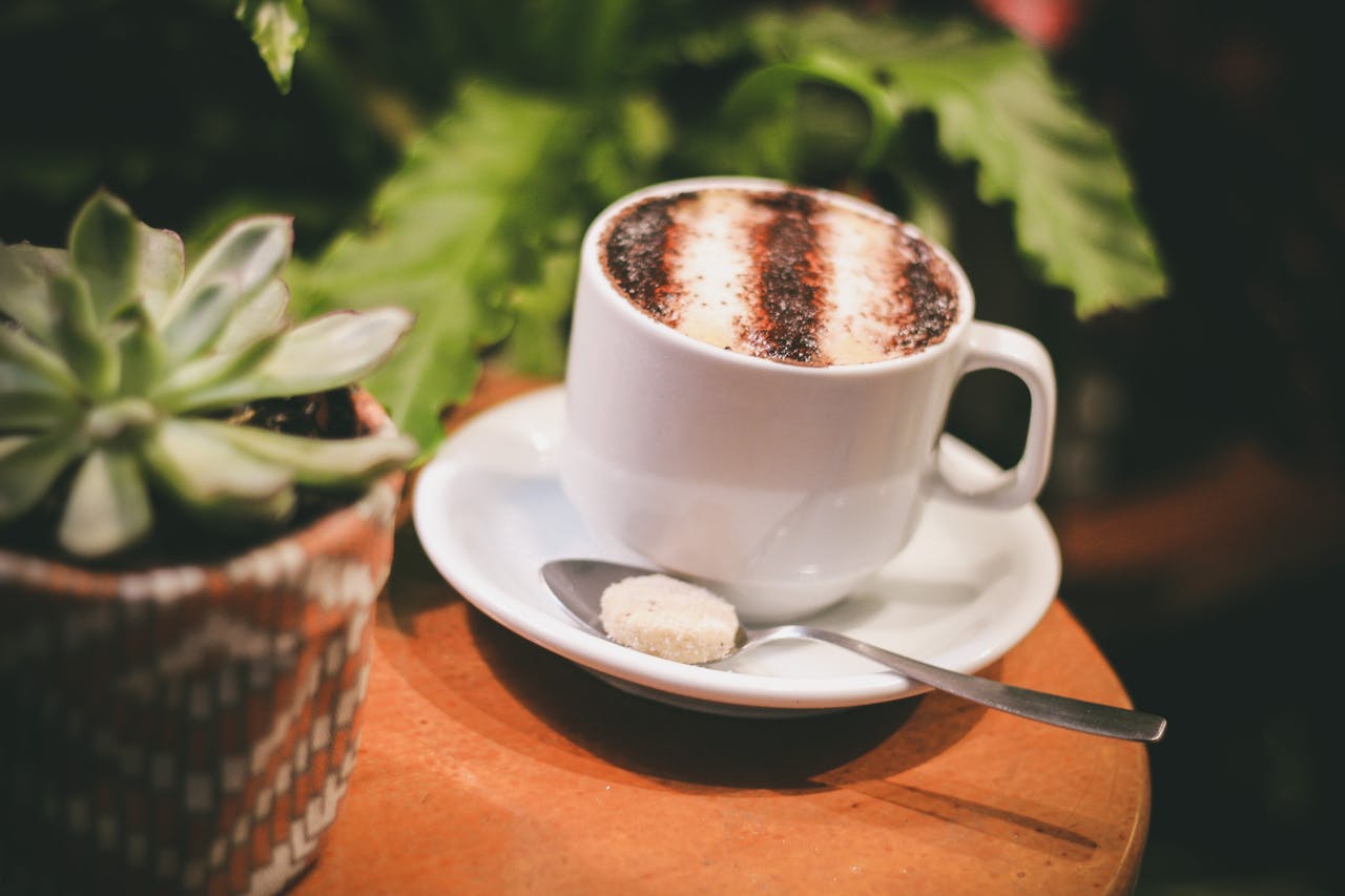 A close-up of a cappuccino with frothy art on a table next to a succulent plant.
